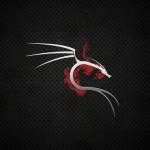 Kali Linux Profile Picture