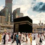 cheapumrah packages Profile Picture