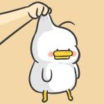 guang guang Profile Picture