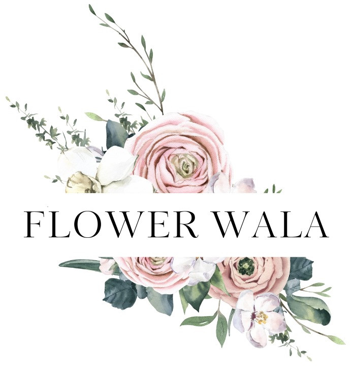 Flower Wala Profile Picture