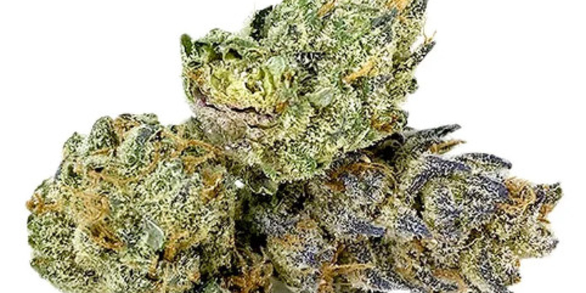 Candy Rain Feminized Seeds: Trusted Premium Cannabis Genetics