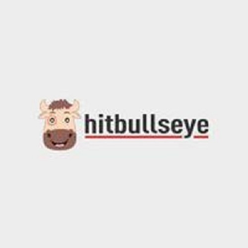 hitbullseye grad Profile Picture
